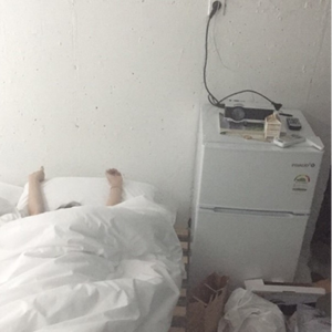 宰杀女畜屠宰场穿刺杆视频全过程
