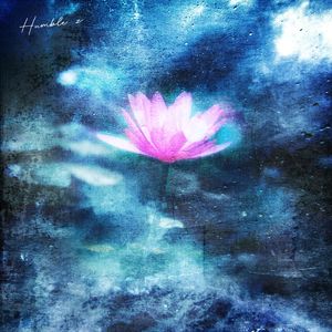 宰杀女畜屠宰场穿刺杆视频全过程
