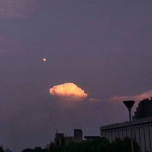 宰杀女畜屠宰场穿刺杆视频全过程
