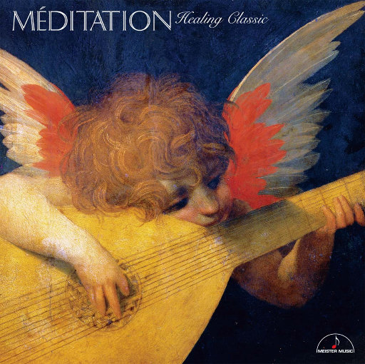 宰杀女畜屠宰场穿刺杆视频全过程
